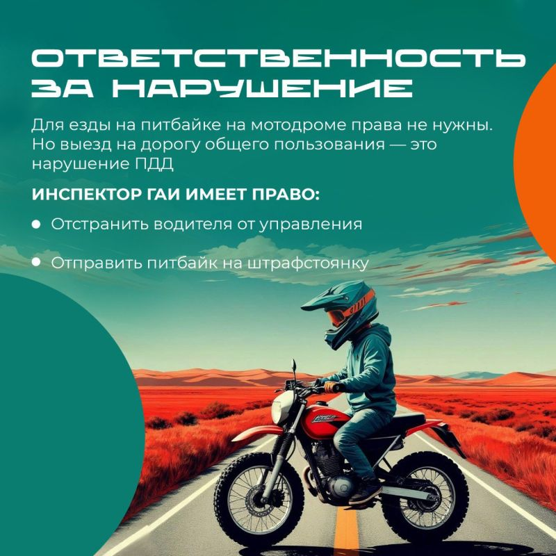 Картинка 4